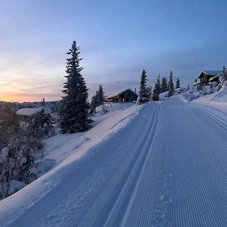 Ski-in Mountain Cabin.5 Br.sauna.veggli *