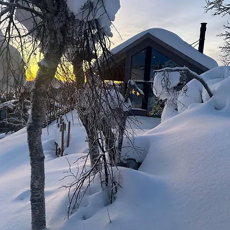 Ski-in Mountain Cabin.5 Br.sauna.veggli Feriehus
